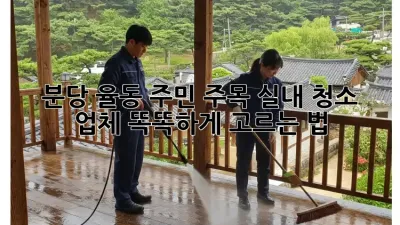 🏡 분당 율동 주민 주목! 실내 청소 업체 똑똑하게 고르는 법 ✨