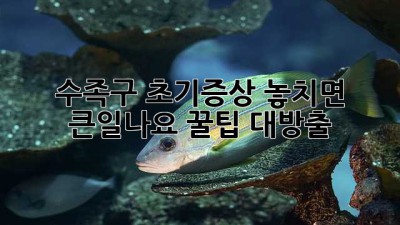 🚨 수족구 초기증상🚨 놓치면 큰일나요! 꿀팁 대방출🍯